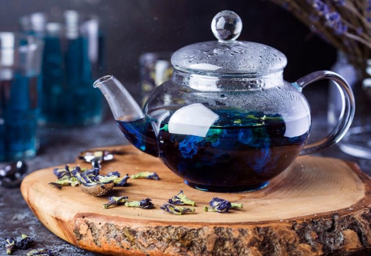 Полезные свойства синего чая Анчан