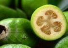 Фейхоа в сезон простуд: польза и вред, как сохранить витамины