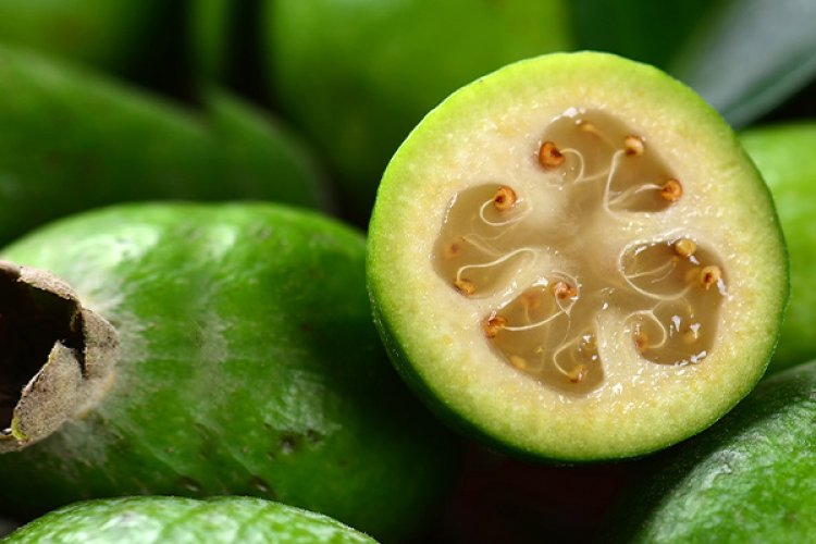 Фейхоа в сезон простуд: польза и вред, как сохранить витамины