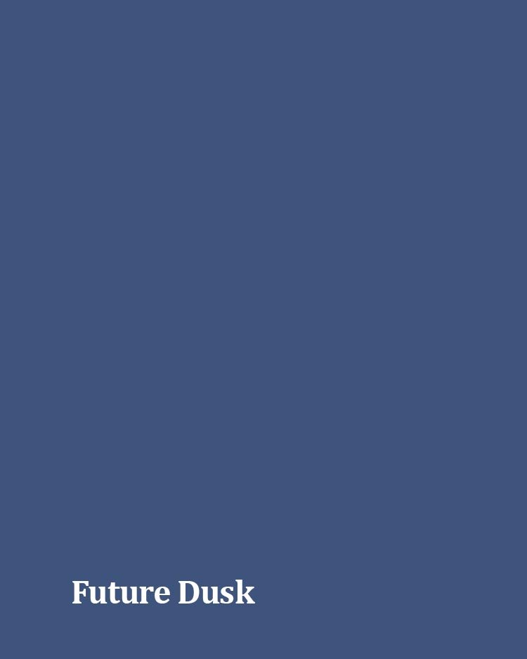 цвет Future Dusk