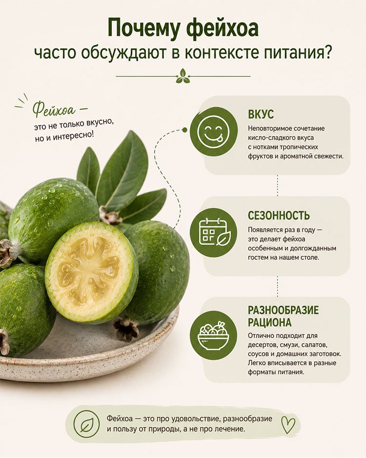 Инфографика о фейхоа: вкус, сезонность и разнообразие рациона